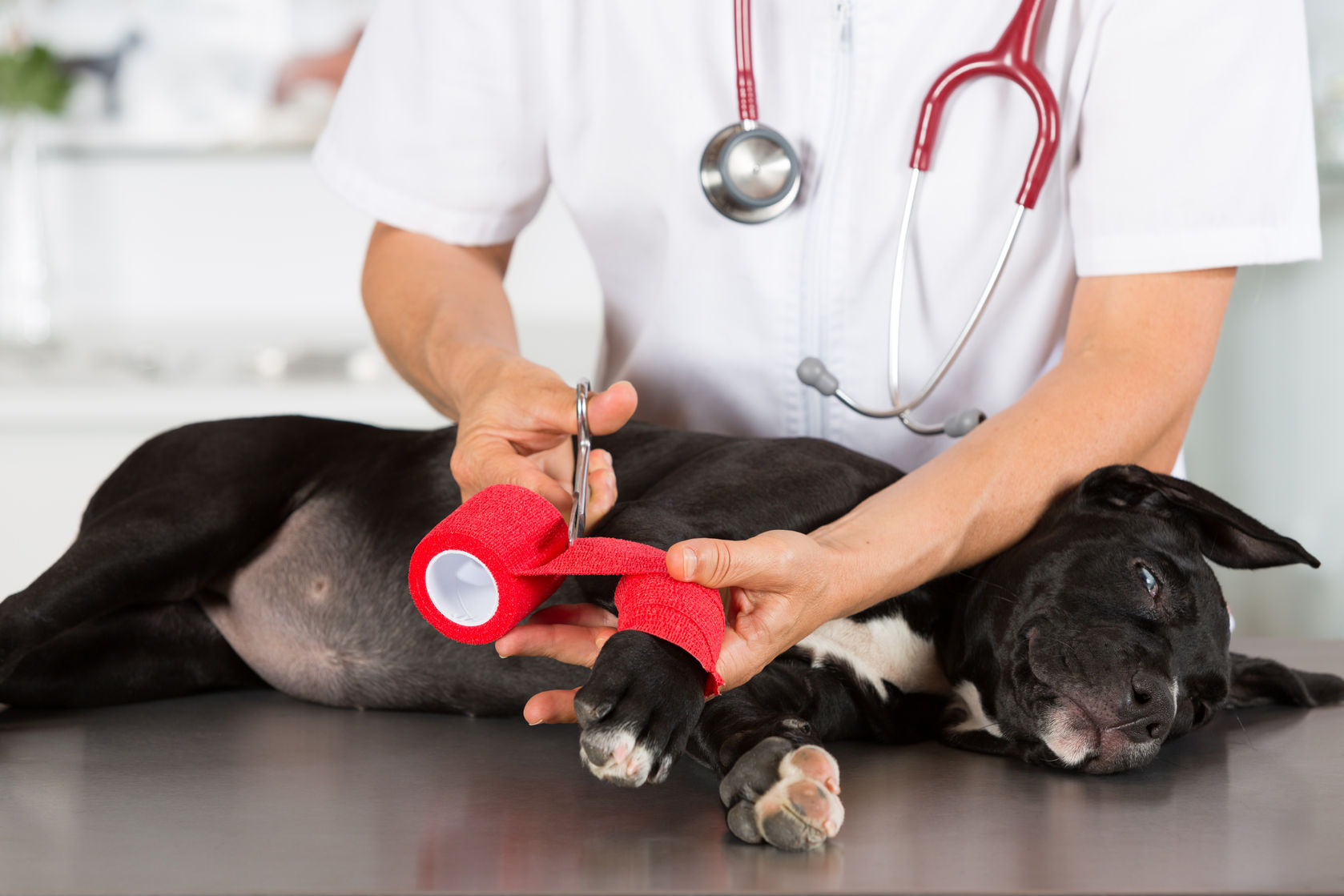 Kenley Selbstklebend Verband Fixierbinde Haftbandage Wundverband