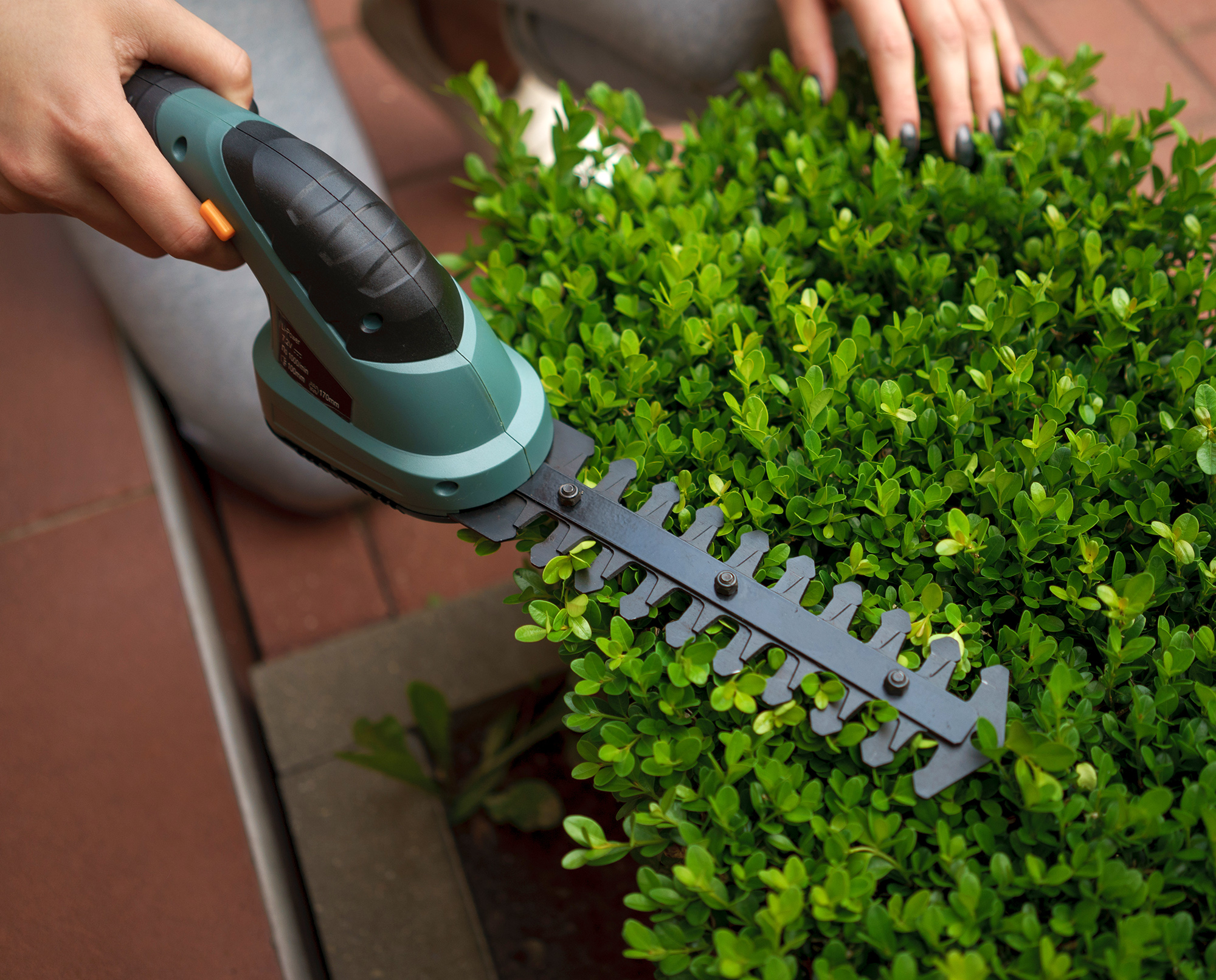 Kenley Cordless Lawn Hedge Trimmer Garden Shrub Grass Shear - Lithuim